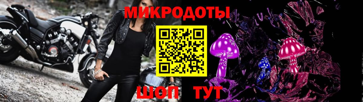 даркнет сайт  Вход с VPN  Донской  Галлюциногенные грибы Psilocybine cubensis 